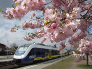 Wahlergebnisse der Semesterticket-Streckenwahl vom 06.12.2016